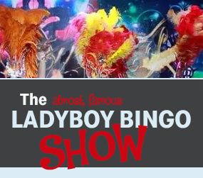 1 Ticket  for Ladyboy Bingo Show tonight 21.00