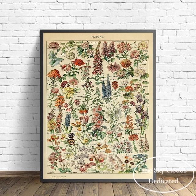 Vintage Flora and Fauna Canvas Painting Poster